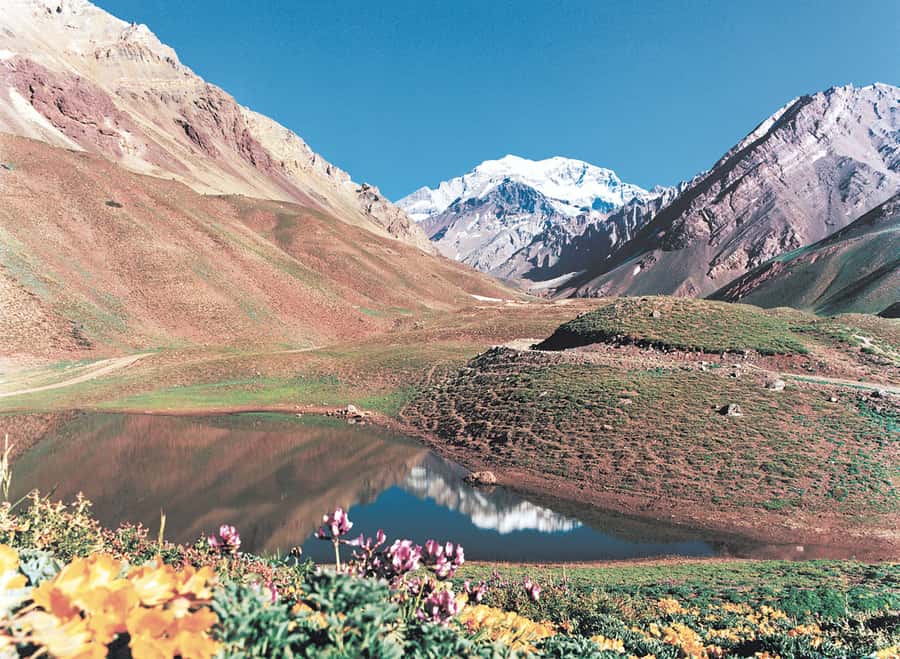 Santiago: Portillo, Inca Lagoon with Optional Aconcagua Park - Timing, comfort, and what to bring