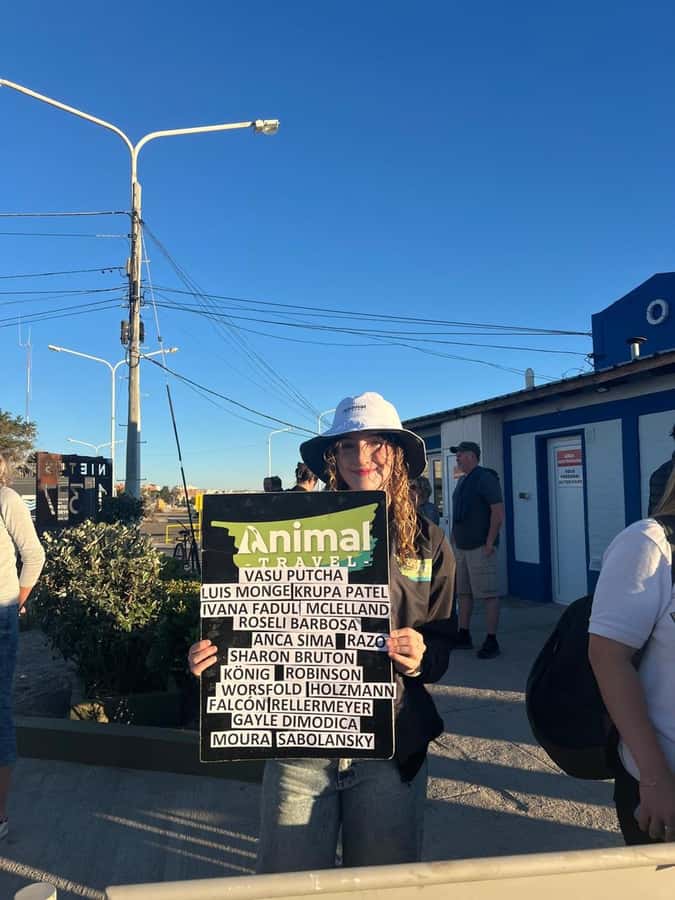 Shore Tours Peninsula Valdes Puerto Madryn Cruise Passengers - How the $120 price works in practice