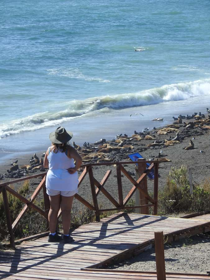 Shore Tours Peninsula Valdes Puerto Madryn Cruise Passengers - The long drive to El Desempeño