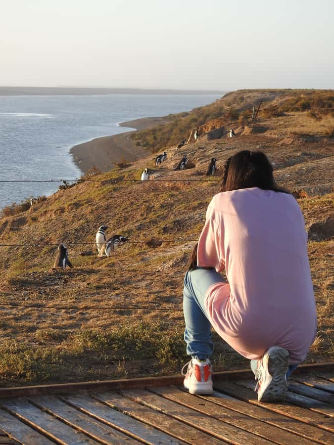 Shore Tours Peninsula Valdes Puerto Madryn Cruise Passengers - Puerto Pirámides gives the day a final coastal stop