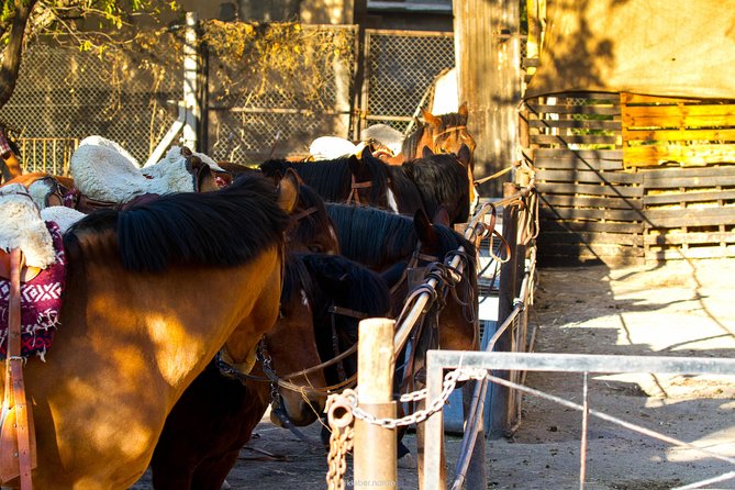 Sunset Horseback Riding - Leaving Mendoza for Lunlunta at 5:30 pm