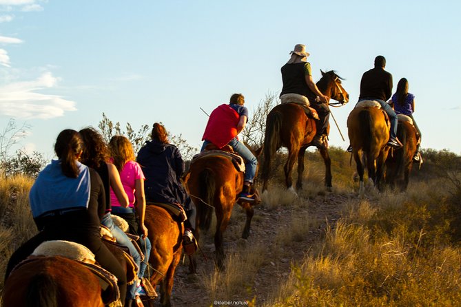 Sunset Horseback Riding - Who will enjoy this Mendoza evening most