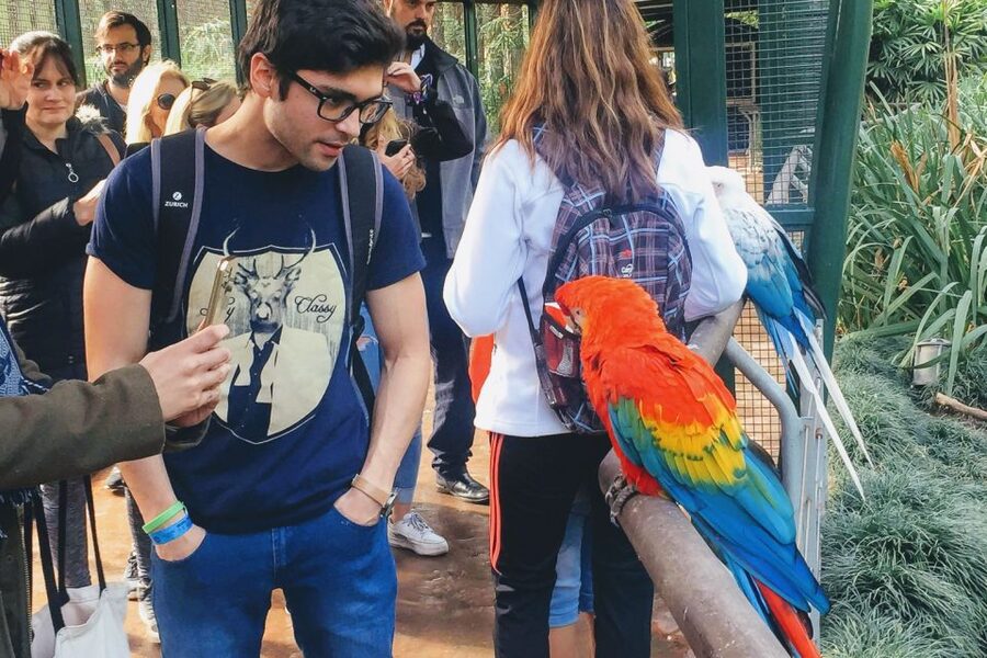 Temaiken Biopark Entry Tickets - Who Will Enjoy This Park Most?