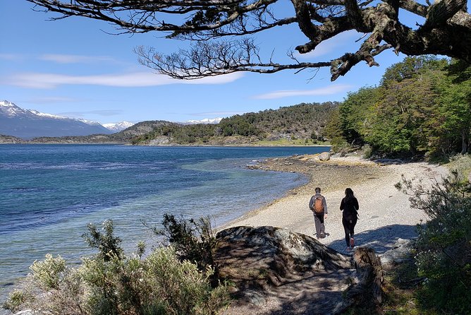 Tierra del Fuego National Park Private Tour - Lapataia Bay and the southern end of the road