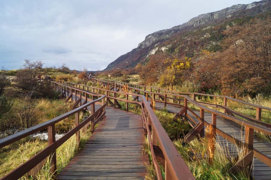 Tierra del Fuego National Park: Small Group Tour with Lunch - Bahia Lapataia, where the road ends
