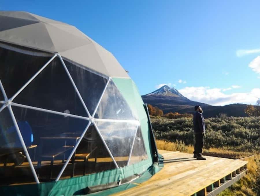 Tierra del Fuego National Park: Small Group Tour with Lunch - How much value do you get for $158?