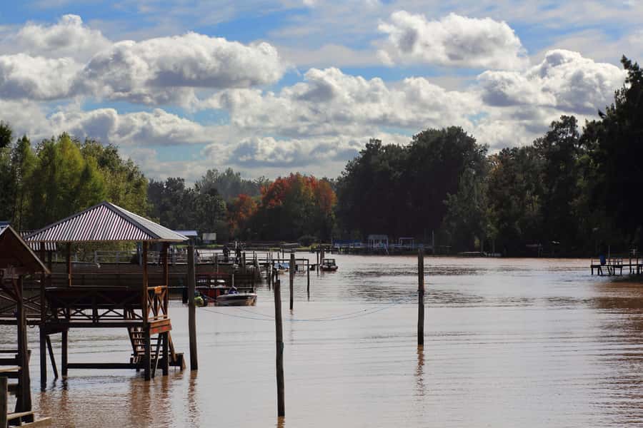Tigre: River Delta Panoramic Boat Tour - Why the Tigre Delta feels unlike Buenos Aires