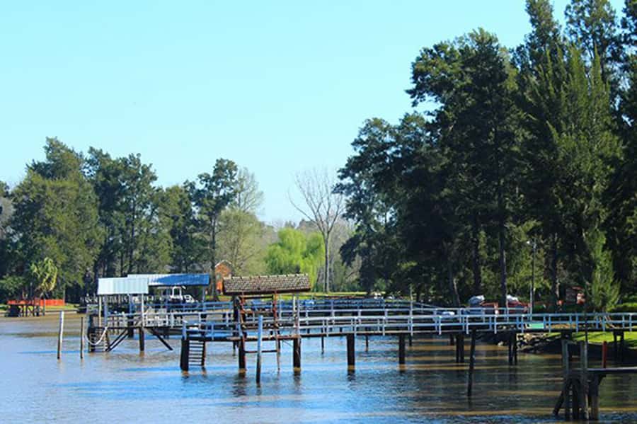 Tigre: River Delta Panoramic Boat Tour - Who will enjoy this boat ride?