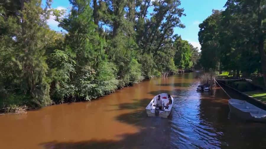 Tigre: Safari Náutico en Tigre/ Biosphere Reserve Boat Tour - Key points to know before booking