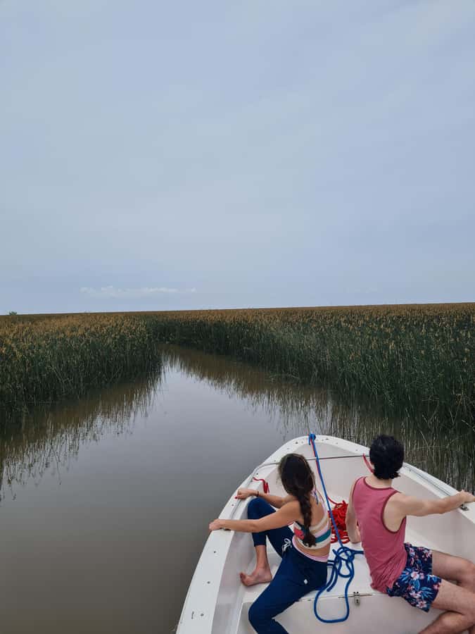 Tigre: Safari Náutico en Tigre/ Biosphere Reserve Boat Tour - Why a private Tigre Delta boat makes a difference