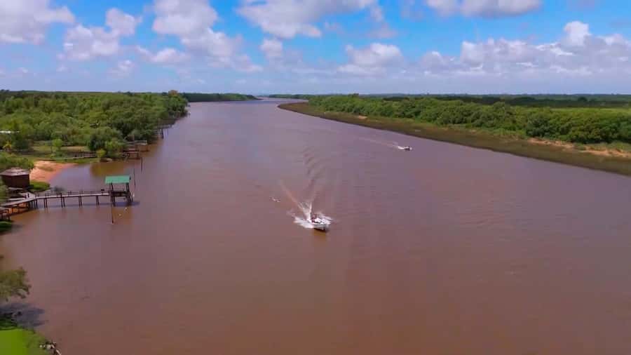 Tigre: Safari Náutico en Tigre/ Biosphere Reserve Boat Tour - Reading the wetlands at the Delta observatory