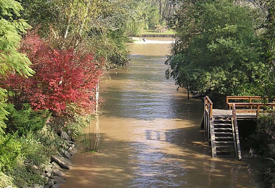 Tigre with Lunch overlooking the River and Navigation - Who Will Enjoy This Tigre Day Trip?
