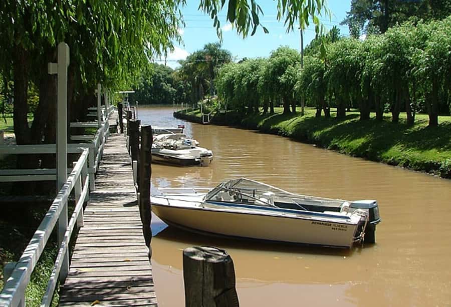 Tigre with Lunch overlooking the River and Navigation - The Delta by Boat, Island Homes and River Traffic