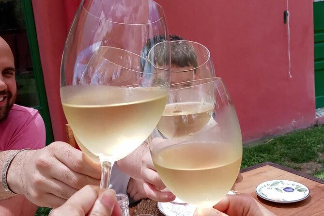 Top Rated: Winery Tour with Lunch in Mendoza - Lunch among the vines