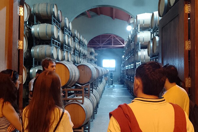 Top Rated: Winery Tour with Lunch in Mendoza - The olive oil stop adds a useful change of pace