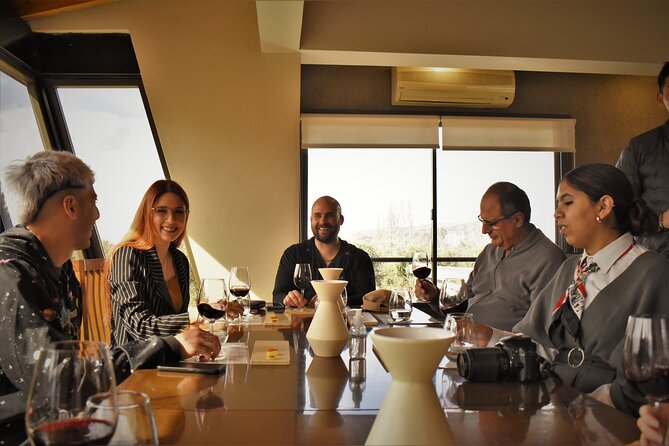 Top Rated: Winery Tour with Lunch in Mendoza - Second winery: a longer look at Mendoza wine