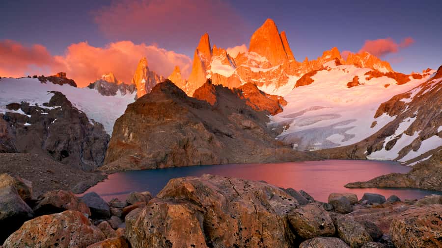 Torres del Paine Day Trip from El Calafate - Laguna Amarga and the Torres del Paine view