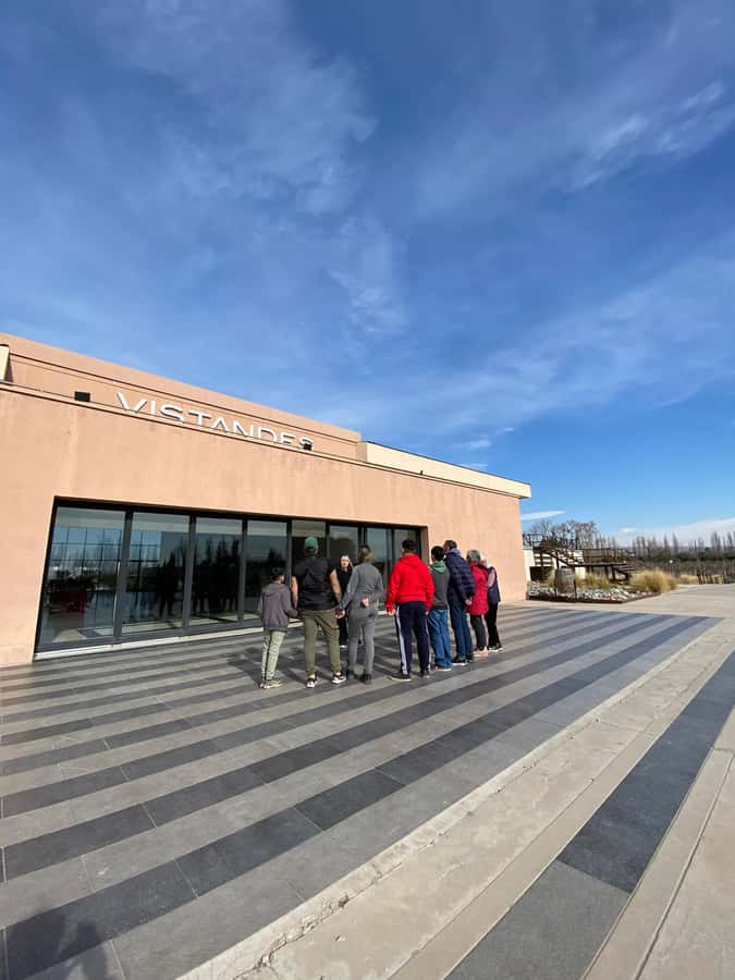 Tour of 3 wineries in Maipú with lunch + olive groves - Key points to know before booking