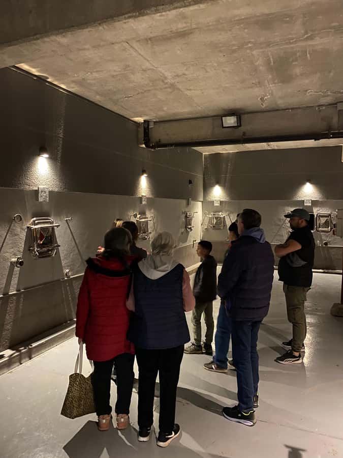 Tour of 3 wineries in Maipú with lunch + olive groves - First and second stops: guided tastings in Maipú
