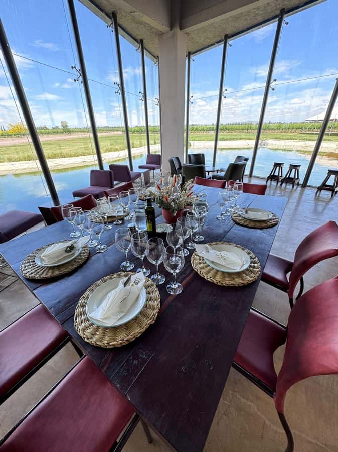 Tour of 3 wineries in Maipú with lunch + olive groves - What the $120 price really covers