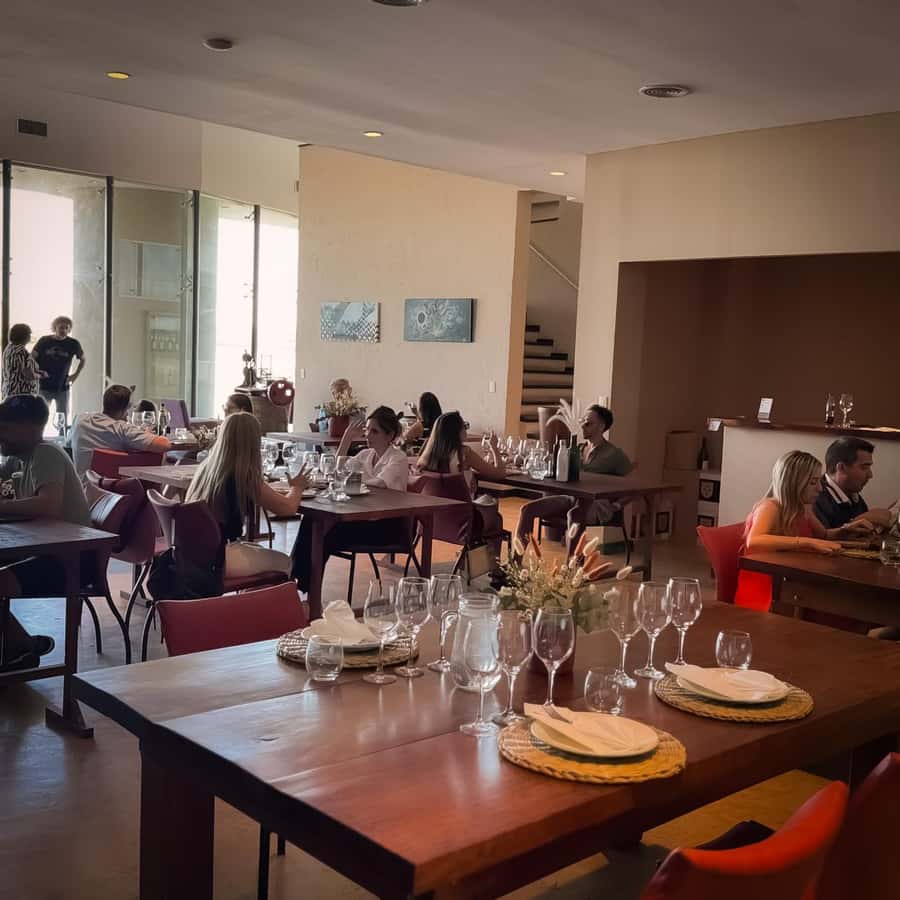 Tour of 3 wineries in Maipú with lunch + olive groves - A practical look at comfort and access