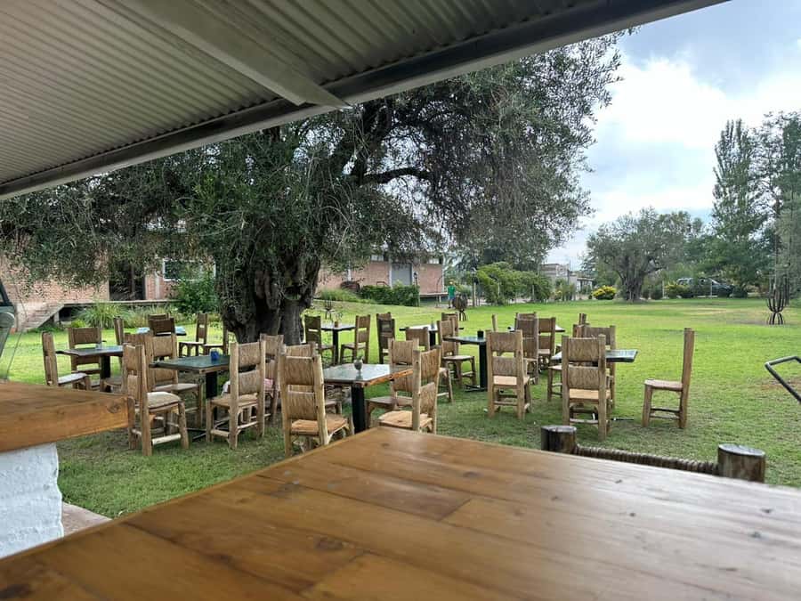 Tour of 3 wineries in Maipú with lunch + olive groves - Who will enjoy this Maipú wine day most