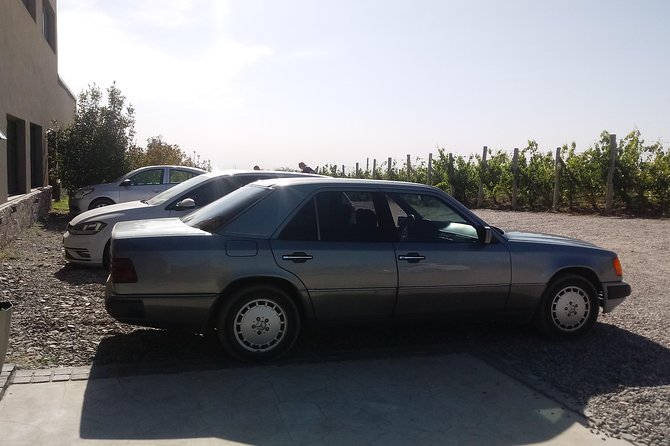 Transportation around Mendoza or others states!!! Trips.. transfers - Why a private car helps in Mendoza