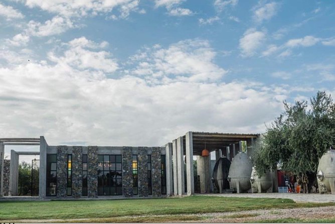 Trapiche and Lunch The Enemy (Michelin) + Private transportation - Two very different Mendoza wineries in five hours