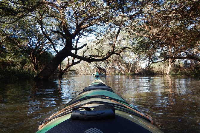 TRU KAYAK - Cruise along the majestic Uruguay River - Starting beside the Uruguay River at 10:00 a.m.