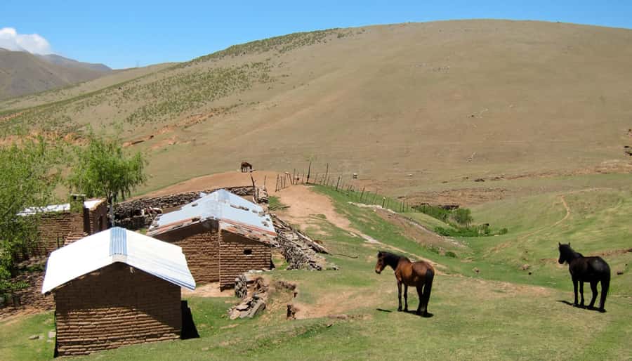 Tucumán: Tafí del Valle Full Day Tour - Key Points to Know Before You Go
