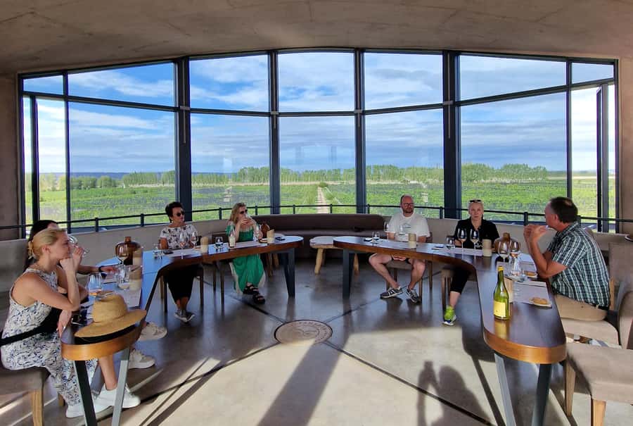 Uco Valley, Mendoza: One-Day Private Wine Tour Experience - Why the Uco Valley makes a strong wine day