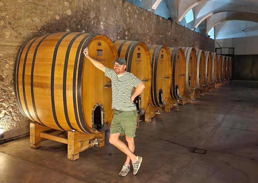 Uco Valley, Mendoza: One-Day Private Wine Tour Experience - The major winery and Argentine lunch