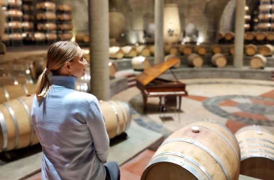 Uco Valley, Mendoza: One-Day Private Wine Tour Experience - The ride back and choosing your drop-off