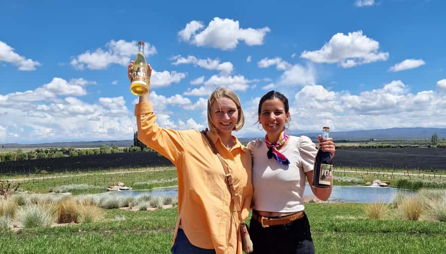 Uco Valley, Mendoza: One-Day Private Wine Tour Experience - Should you book this Uco Valley day?