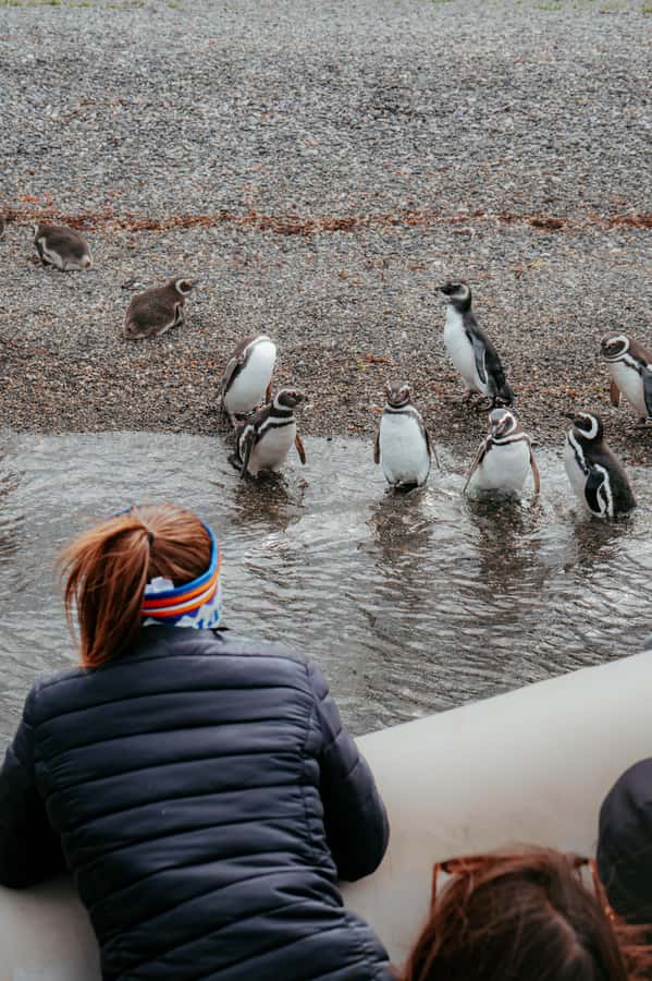 USHUAIA: ALMANZA, THE SPIDER CRAB ROUTE & PENGUIN SIGHTING - Route J and the road to Puerto Almanza