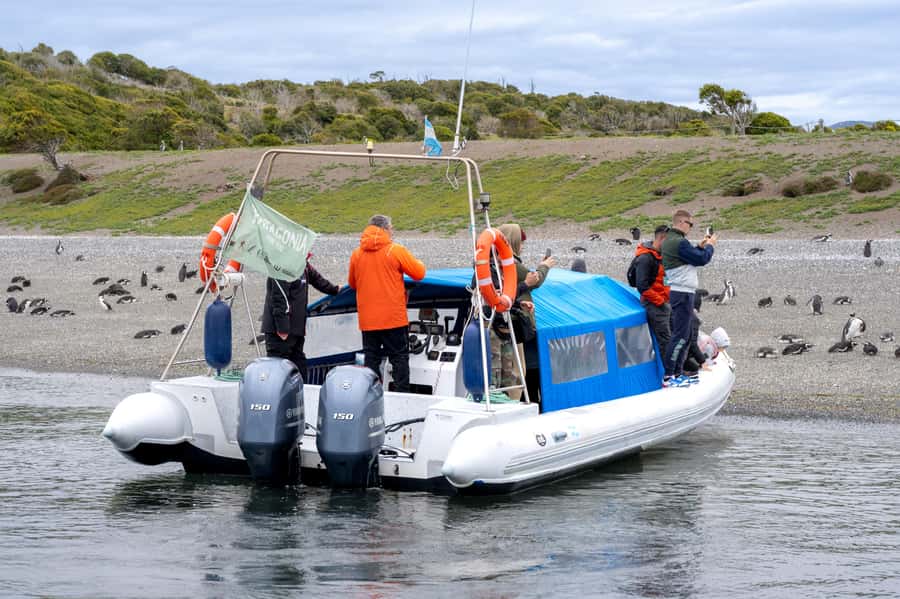 USHUAIA: ALMANZA, THE SPIDER CRAB ROUTE & PENGUIN SIGHTING - Crossing Tierra del Fuego on Route 3