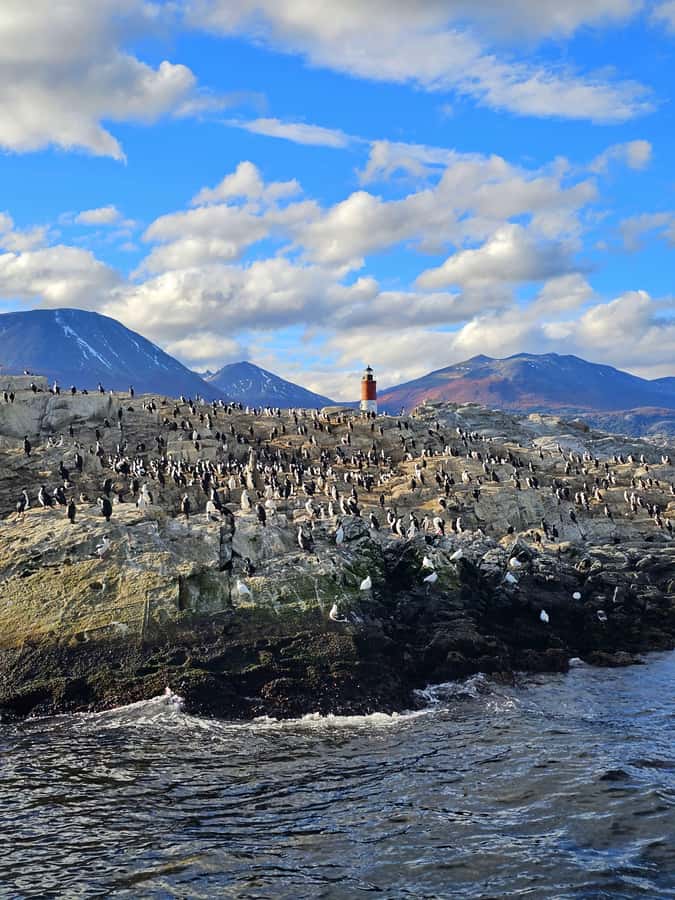 Ushuaia: Beagle Channel and Penguin Island - Key points at a glance