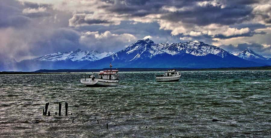 Ushuaia: Beagle Channel Boat Tour and Penguin Experience - What the Martillo Island boat ride is like