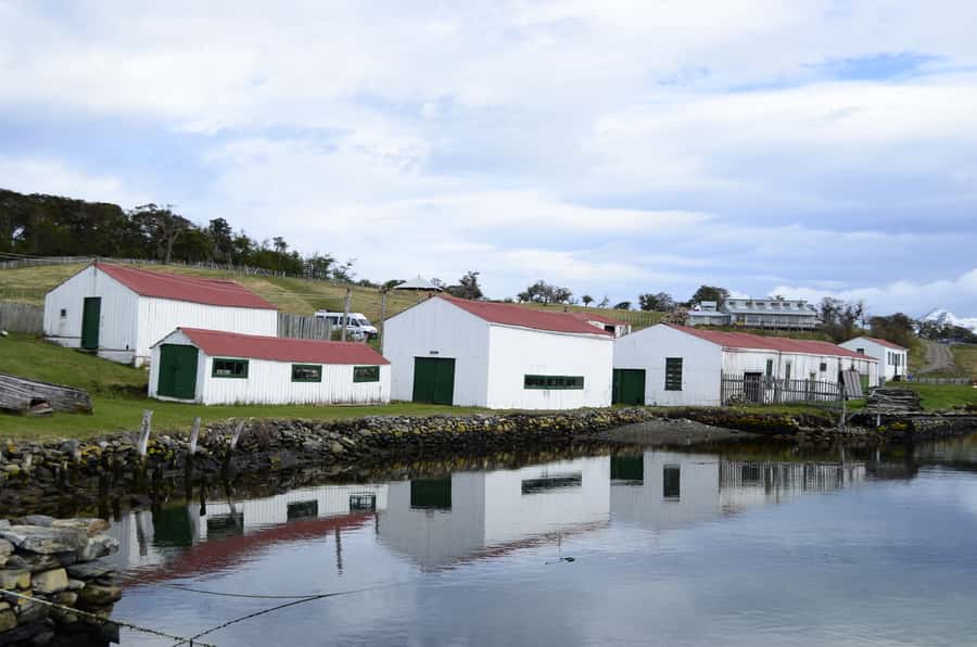 Ushuaia: Beagle Channel Boat Tour and Penguin Experience - Who will get the most from this tour?