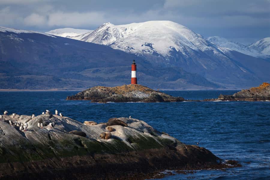 Ushuaia: Beagle Channel Boat Tour and Penguin Experience - The road to Harberton Ranch and the island