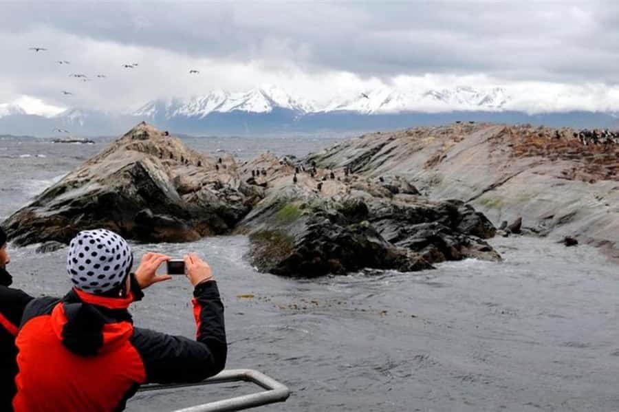 Ushuaia: Beagle Channel Penguin Colony Tour - Key points to know before you book