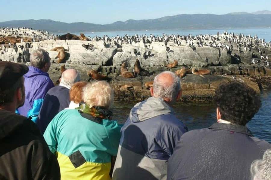 Ushuaia: Beagle Channel Penguin Colony Tour - Sea lions at Isla de los Lobos