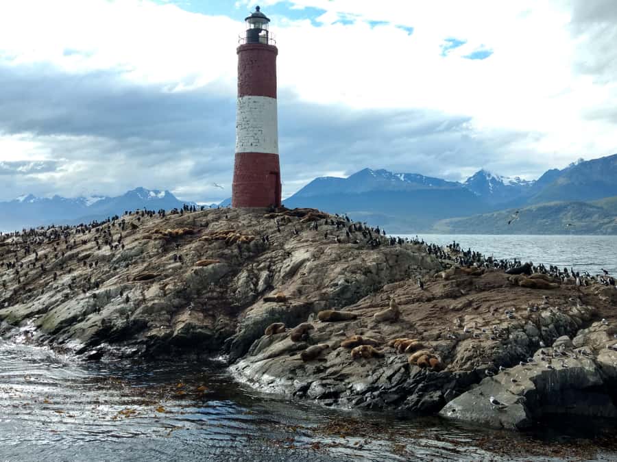 Ushuaia: Beagle Channel & Sea Wolves Island Catamaran Cruise - Guide service, photos, and onboard comfort