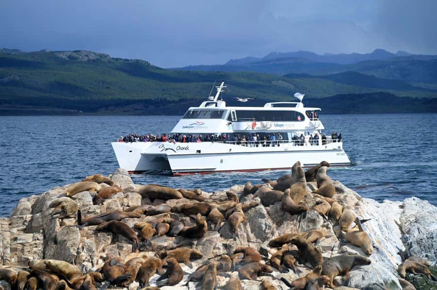 Ushuaia: Beagle Channel, Seal Island & Bridges Islands Tour - Why the Beagle Channel views matter