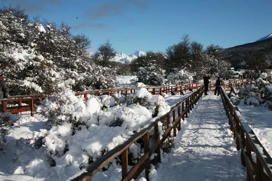 Ushuaia: End of the World Train Ride & Tierra del Fuego Park - Is $140 Plus the Park Fee Good Value?