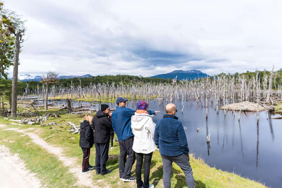 Ushuaia: Escondido & Fagnano Lakes Tour AM - Should you book the Escondido and Fagnano Lakes tour?