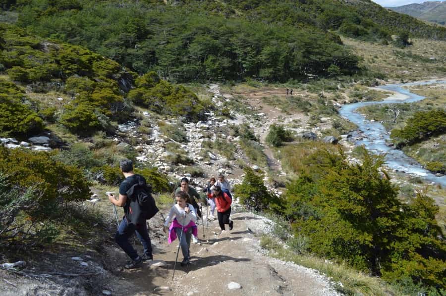 Ushuaia: Laguna Esmeralda Guided Trek with Box Lunch - Leaving Ushuaia for the forest