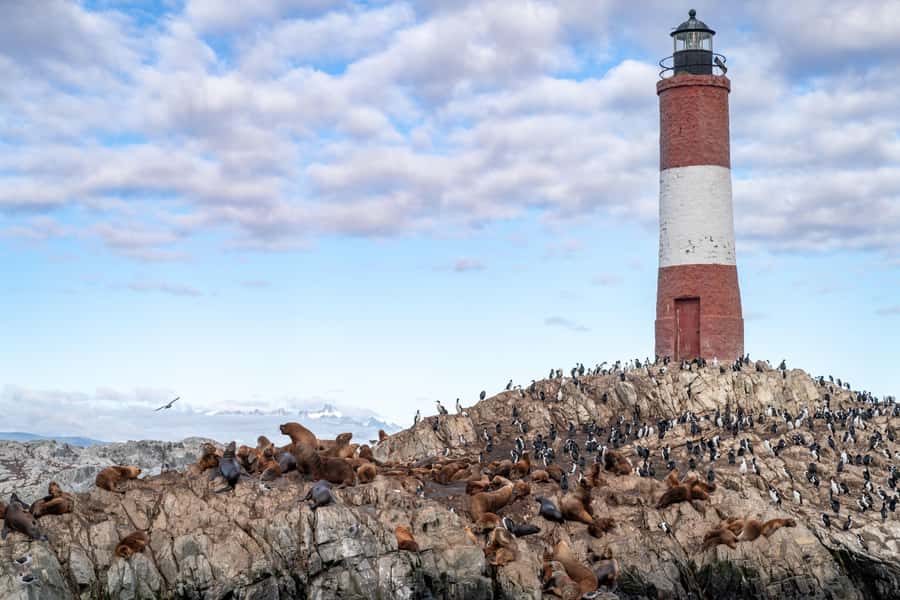 USHUAIA | Navigation: Sea Lions, Birds and Lighthouse - Warm clothing matters more than the calendar