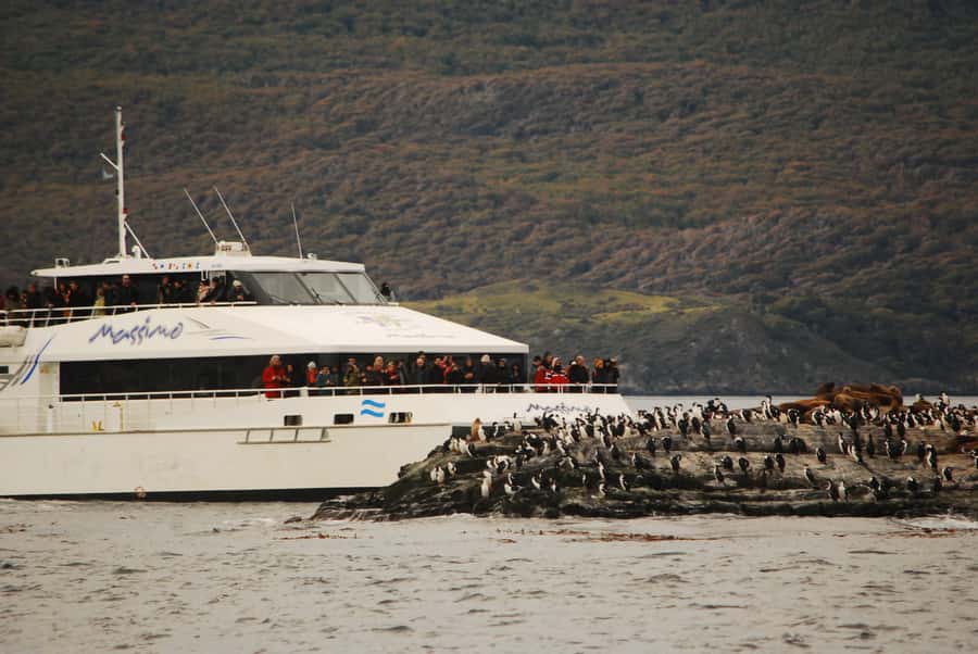Ushuaia: Penguin Watching Tour by Catamaran - Key points to know before booking