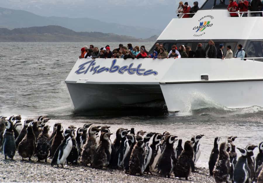 Ushuaia: Penguin Watching Tour by Catamaran - From Ushuaia Bay into the Beagle Channel